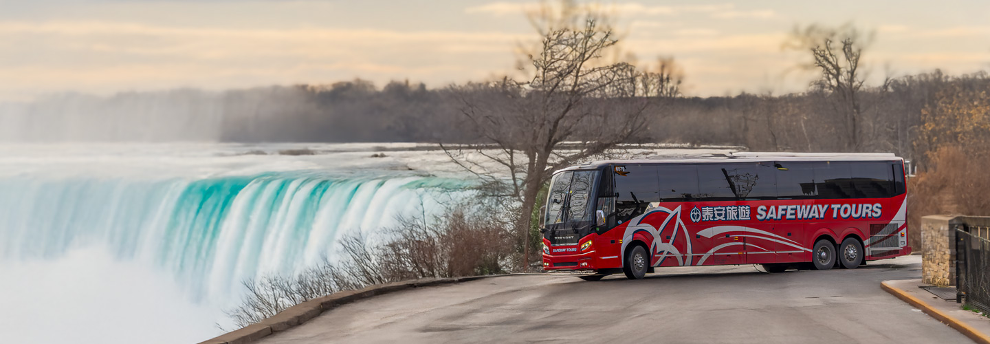 Safeway Tours